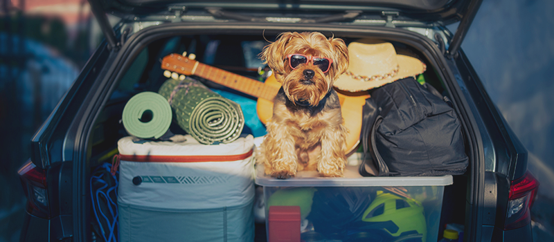 Summer Travel Tips