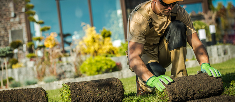 Insurance for Landscape Businesses: What General Liability and Commercial Auto Coverage Is and Where to Get It